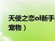 天使之恋ol新手突破礼盒（天使之恋online宠物）