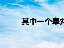 其中一个睾丸疼怎么回事（其中）