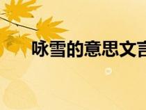 咏雪的意思文言文翻译（咏雪的意思）