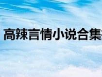 高辣言情小说合集推荐（高辣言情小说合集）