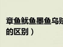 章鱼鱿鱼墨鱼乌贼谁厉害（章鱼鱿鱼乌贼墨鱼的区别）