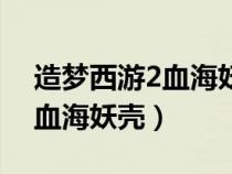 造梦西游2血海妖壳是谁的装备（造梦西游2血海妖壳）