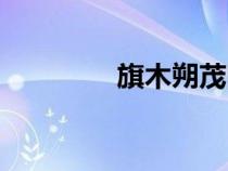 旗木朔茂图片（旗木朔茂）