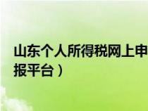 山东个人所得税网上申报平台官网（山东个人所得税网上申报平台）