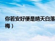 你若安好便是晴天白落梅主要内容（你若安好便是晴天白落梅）