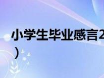 小学生毕业感言200字左右（小学生毕业感言）