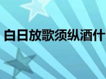 白日放歌须纵酒什么意思（白日放歌须纵酒）