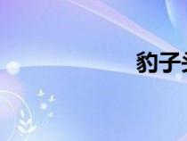 豹子头误入白虎堂