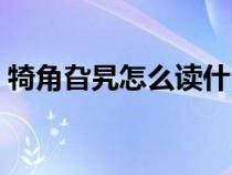 犄角旮旯怎么读什么意思（犄角旮旯怎么读）