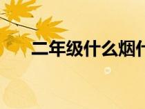 二年级什么烟什么云（什么烟什么云）