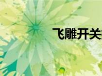 飞雕开关插座（飞雕开关）