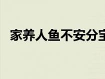 家养人鱼不安分宝书网（家养人鱼不安分）
