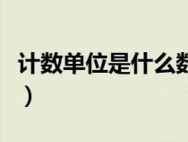 计数单位是什么数位是什么（计数单位是什么）