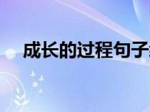 成长的过程句子经典语录（成长的过程）