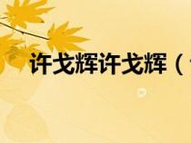 许戈辉许戈辉（许戈辉现任丈夫的简历）