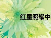 红星照耀中国简介（中国简介）