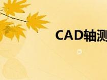 CAD轴测图（cad轴测图）