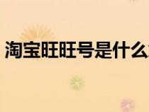 淘宝旺旺号是什么意思（淘宝旺旺号是什么）