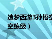 造梦西游3孙悟空快速升级（造梦西游3孙悟空练级）