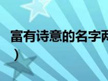 富有诗意的名字两个字（有诗意的名字两个字）
