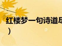 红楼梦一句诗道尽人生（黛玉葬花表达了什么）