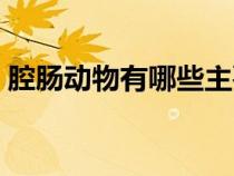 腔肠动物有哪些主要特征（腔肠动物有哪些）