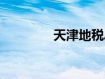 天津地税APP（天津地税）