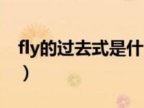 fly的过去式是什么英语（fly的过去式是什么）