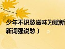 少年不识愁滋味为赋新词强说愁全诗（少年不识愁滋味为赋新词强说愁）