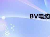 BV电缆图片（bv电缆）