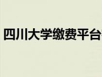 四川大学缴费平台密码（四川大学缴费平台）