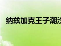 纳兹加克王子潮汐护符（纳兹加克王子宏）