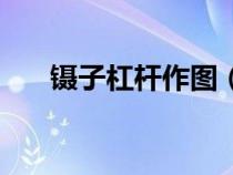 镊子杠杆作图（镊子杠杆原理示意图）