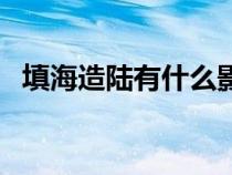 填海造陆有什么影响（填海造陆的利与弊）