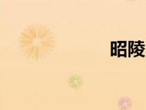 昭陵图片（昭陵）