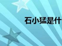 石小猛是什么电视剧（石小猛）