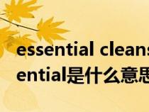 essential cleansing foam是什么意思（essential是什么意思）