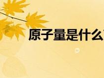原子量是什么高中（原子量是什么）