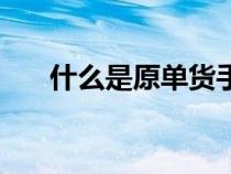 什么是原单货手表呢（什么是原单货）