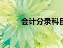 会计分录科目汇总表（会计分录）