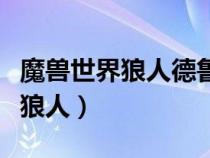 魔兽世界狼人德鲁伊和暗夜德鲁伊（魔兽世界狼人）