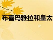 布喜玛雅拉和皇太极（布喜娅玛拉和皇太极）
