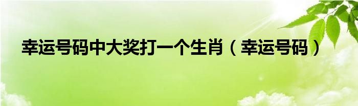 幸运号码中大奖打一个生肖（幸运号码）
