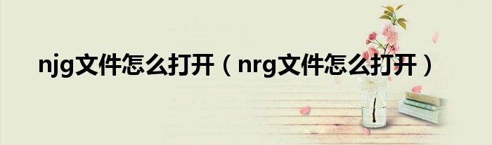 njg文件怎么打开（nrg文件怎么打开）