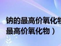 钠的最高价氧化物对应的水化物是什么（钠的最高价氧化物）