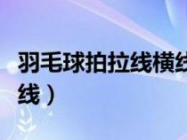 羽毛球拍拉线横线高还是竖线高（羽毛球拍拉线）