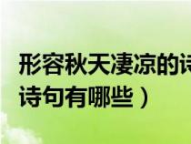 形容秋天凄凉的诗句有哪些（描写秋天凄凉的诗句有哪些）