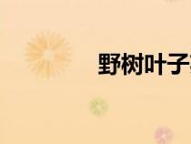 野树叶子英语（叶子英语）