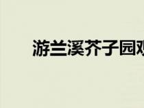 游兰溪芥子园观后感300字（游兰溪）