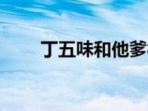 丁五味和他爹相认第几部（丁五味）